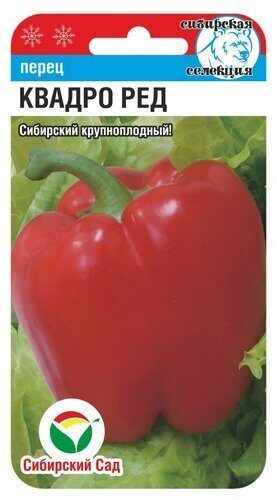Перец КВАДРО РЕД 15шт (Сиб сад) #1