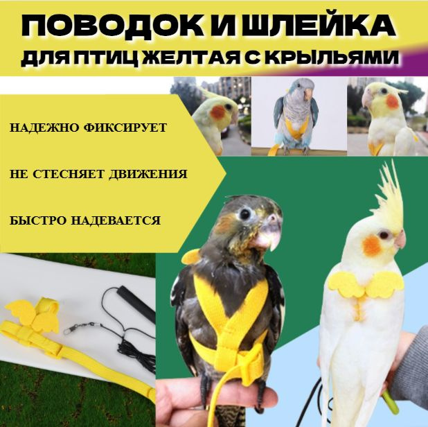 Шлейка #1