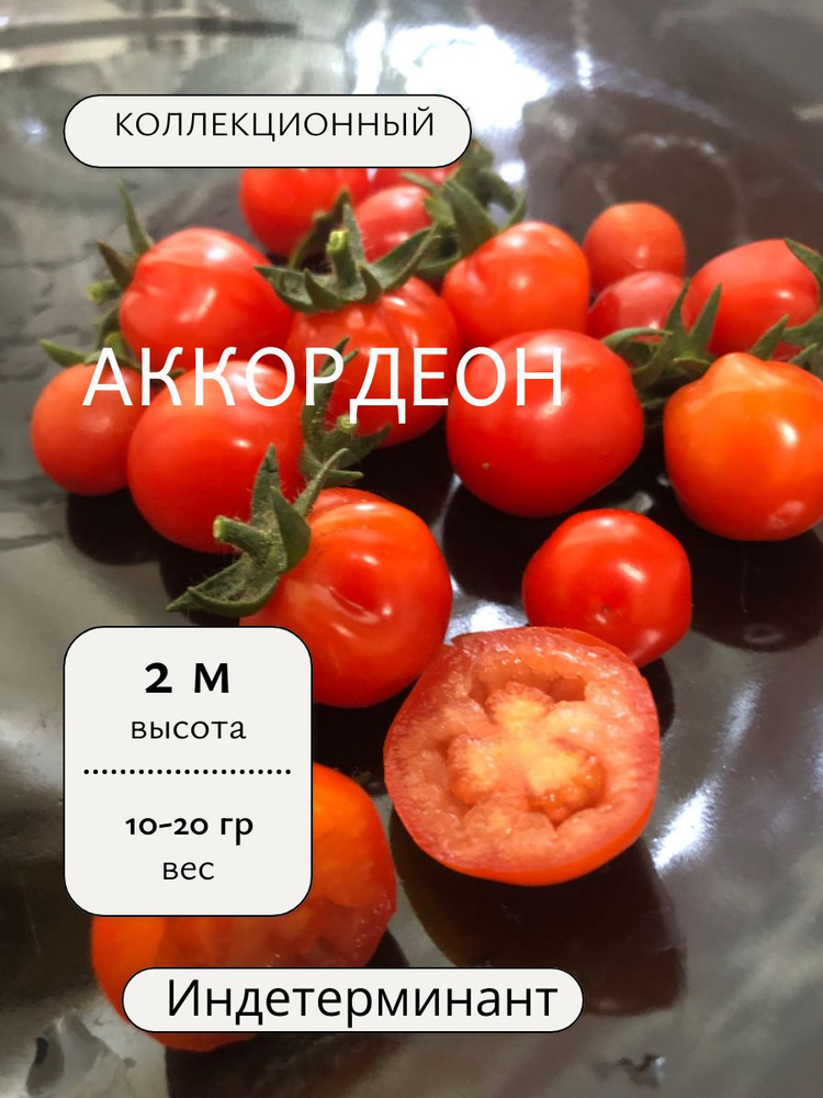 Семена #1