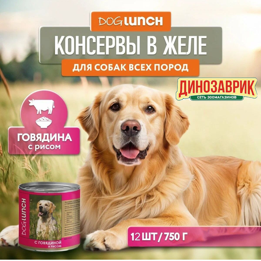 Влажный корм Dog Lunch для любых собак, говядина и рис (12шт х 750гр)  #1