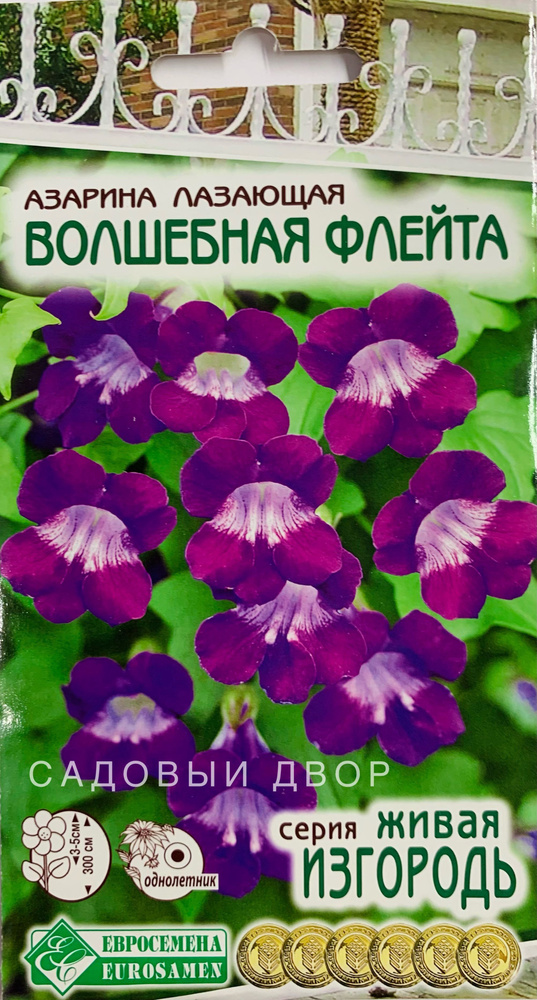 Азарина лазающая Волшебная Флейта, 1 пакет, семена 5 шт, Евросемена  #1