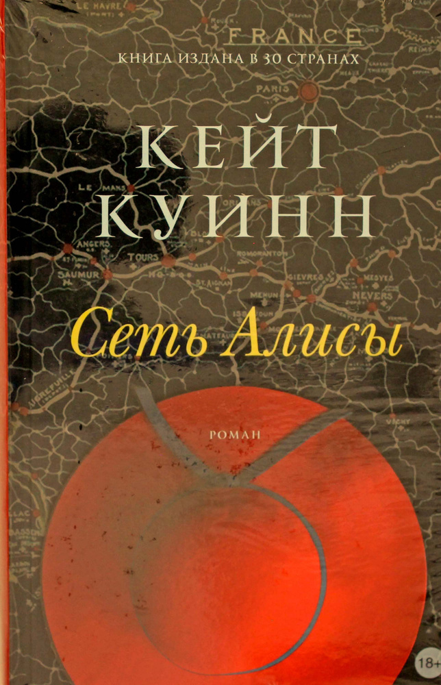 Сеть Алисы #1
