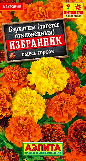 Семена Бархатцы Избранник отклоненные, смесь сортов, 0,3 г ,Агрофирма Аэлита #1