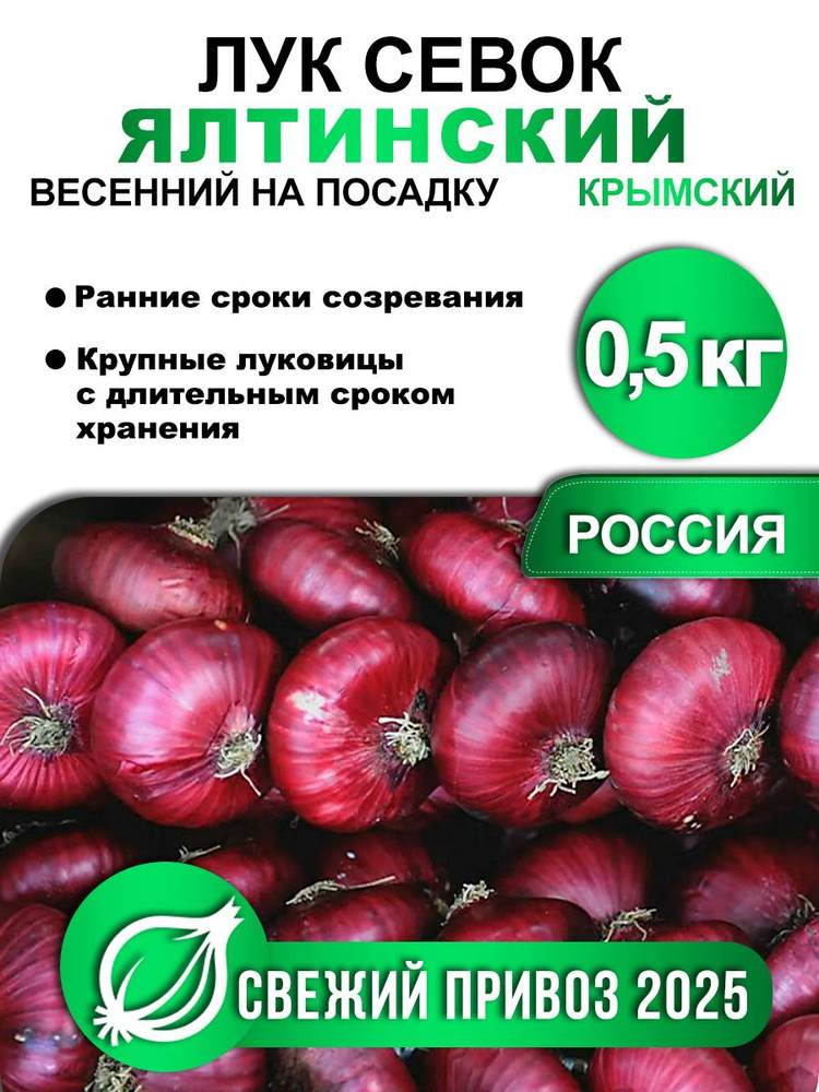 Лук-севок для посадки весной Ялтинский (Крымский), Россия 0,5кг купить ...
