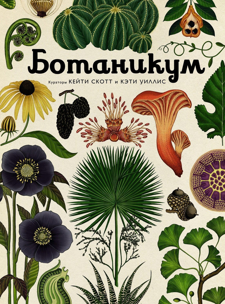 Ботаникум #1