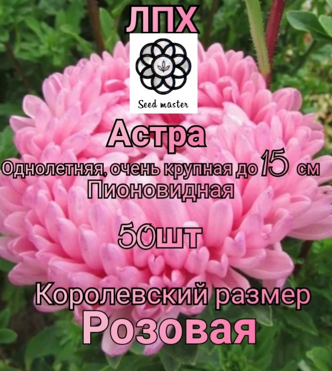 Семена ,50шт #1