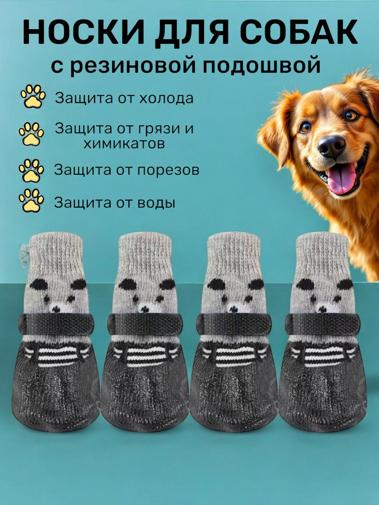 Обувь для собак #1