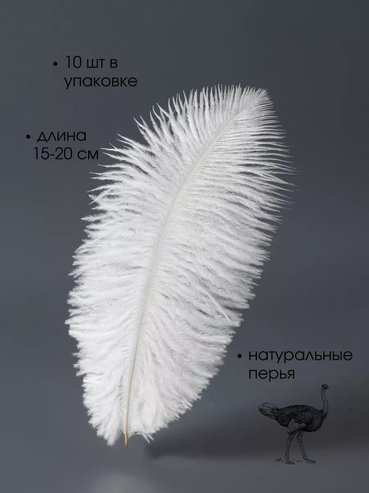 Перья страуса #1
