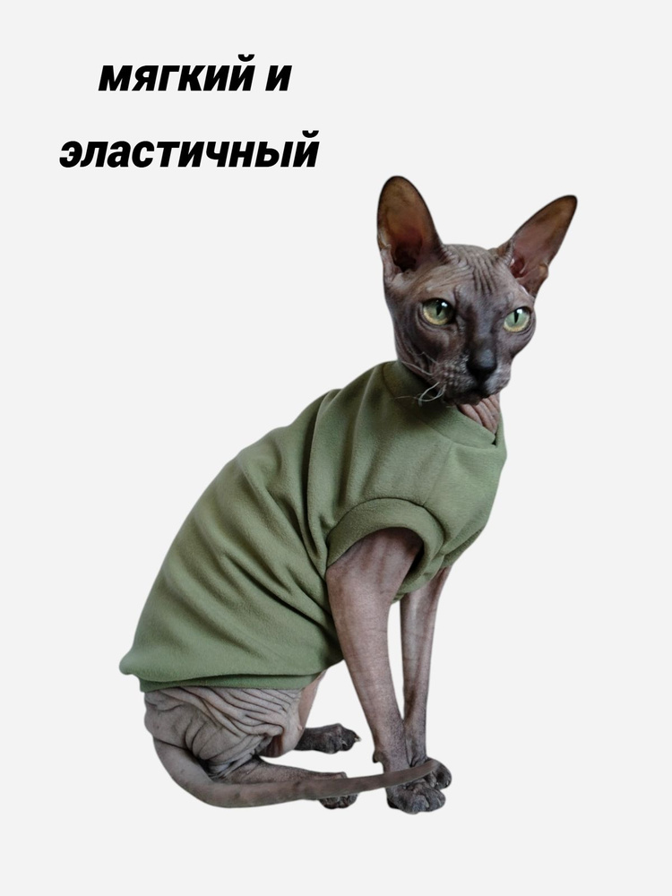 Одежда для животных #1