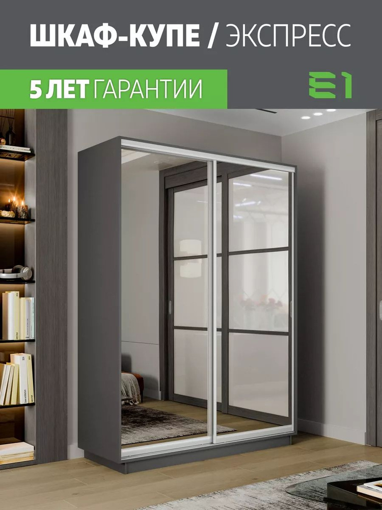 Е1 шкаф купе для одежды Экспресс зеркала 120x45x240 темно-серый #1