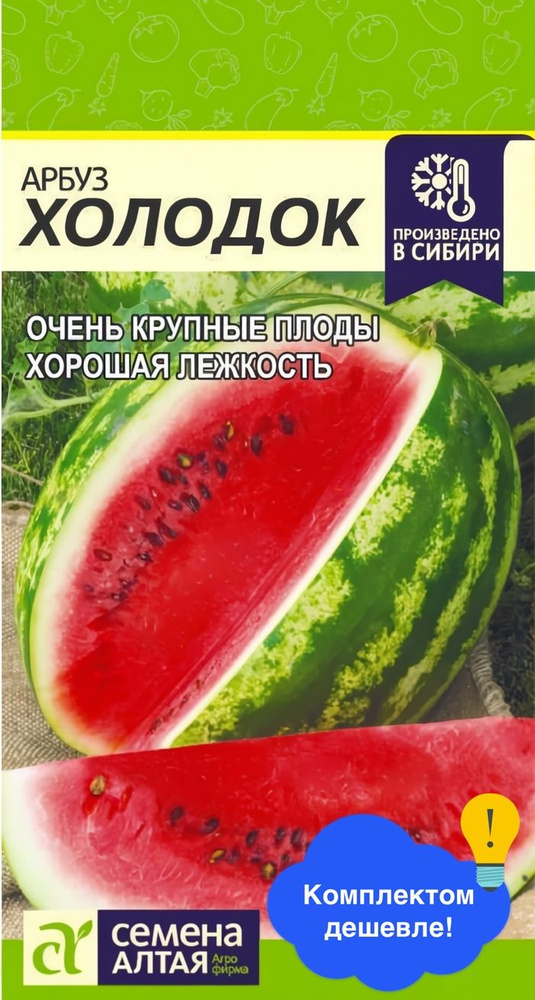 Арбуз Холодок #1