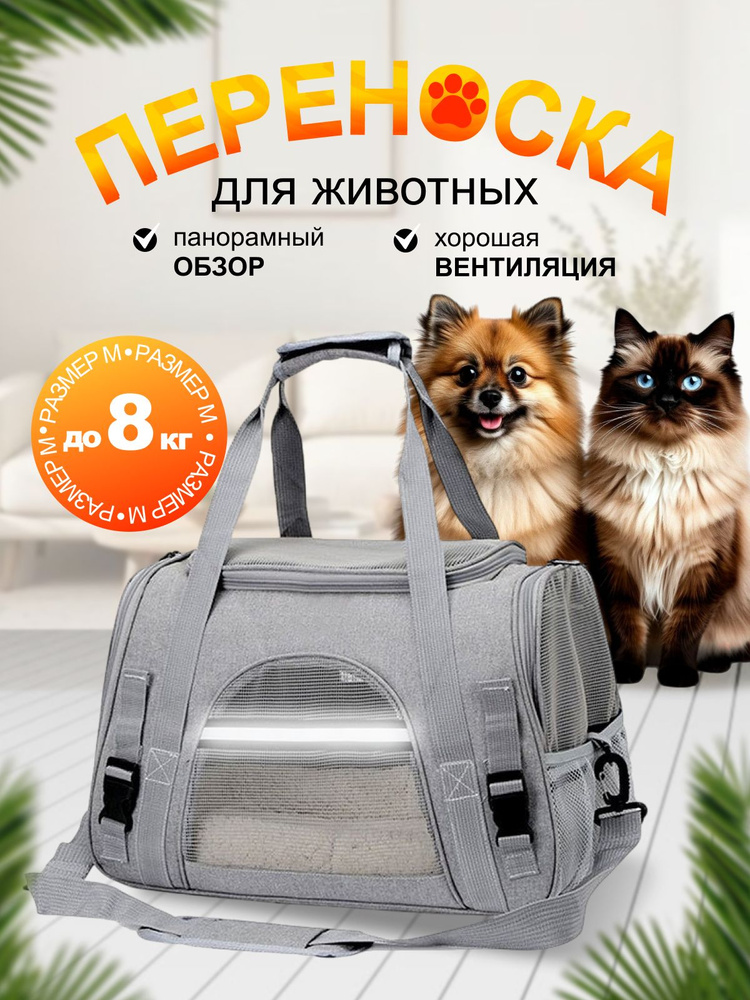 Переноска #1