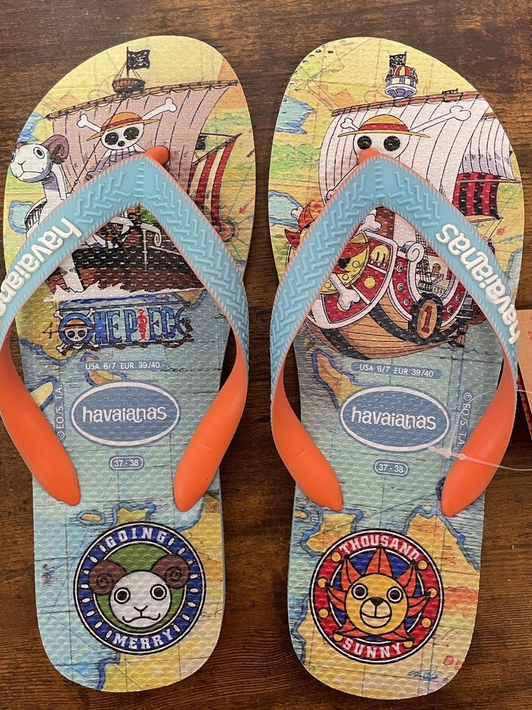 Тапочки Havaianas #1
