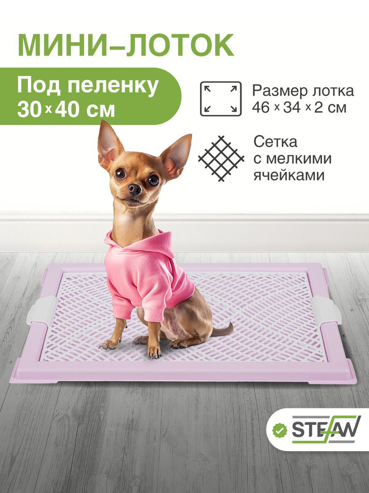 Туалет лоток для собак мелких пород под пеленку Stefan (Штефан), 46х34 см, лиловый, BP1044 #1