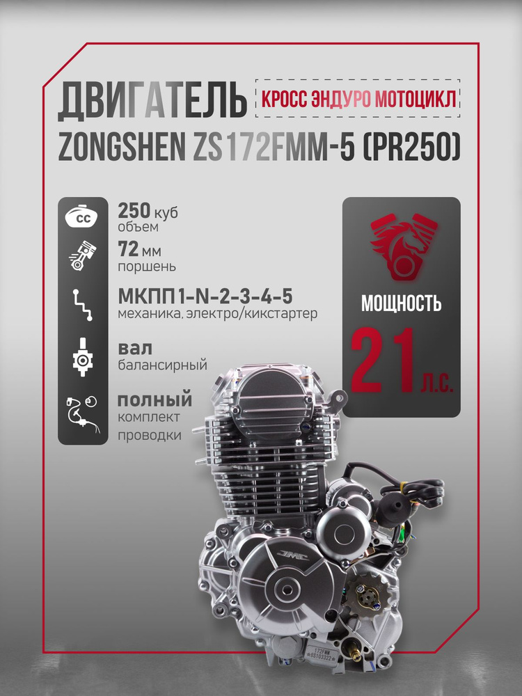 Двигатель JMC Zongshen ZS172FMM-5 PR250 с балансиром для