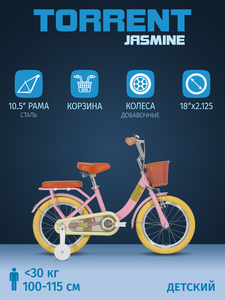 Детский велосипед TORRENT Jasmine (1 скорость, добавочные колеса