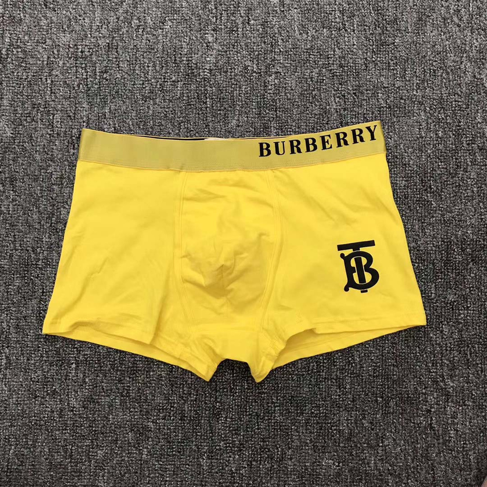 Трусы боксеры Burberry Burberry Боксеры Трусы хлопковые мужские, 1 шт #1