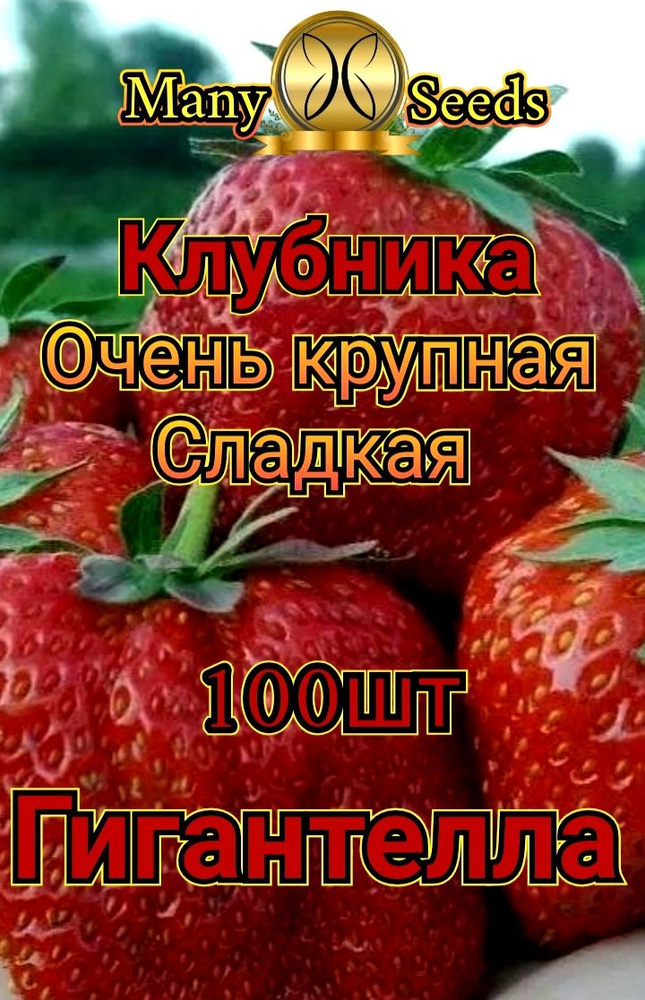Семена ,100шт #1