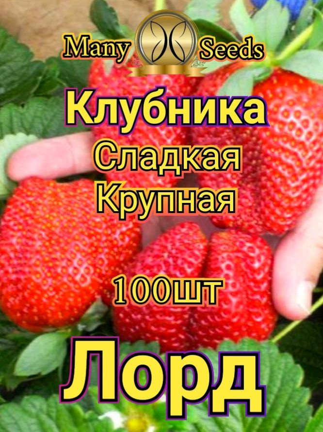 Семена ,100шт #1