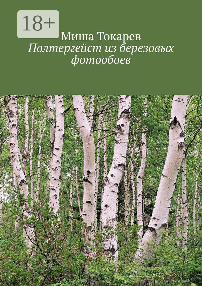 Полтергейст из березовых фотообоев | Токарев Миша #1