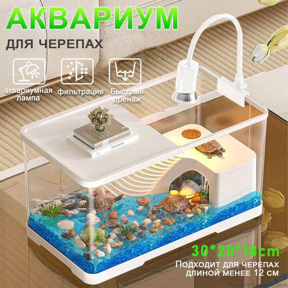 Аквариум #1