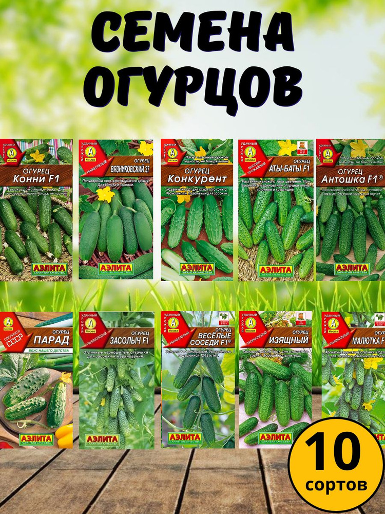 Набор семян огурцов 10 сортов #1