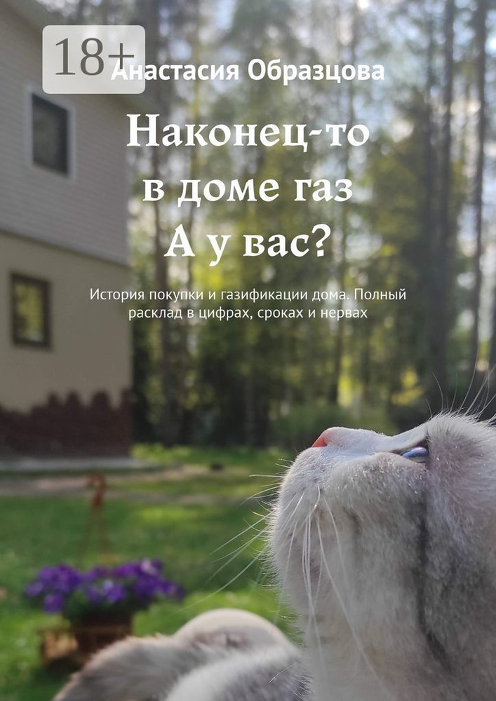 Наконец-то в доме газ. А у вас. История покупки и газификации дома. Полный расклад в цифрах, сроках и #1