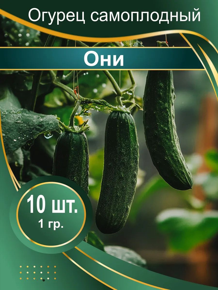 Семена #1
