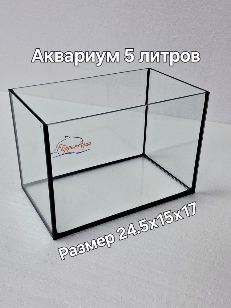 Аквариум #1