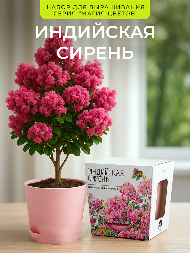 Индийская сирень Набор для выращивания растений #1