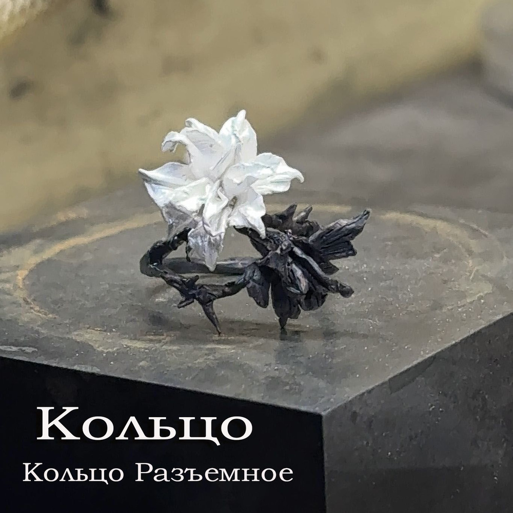 Кольцо #1