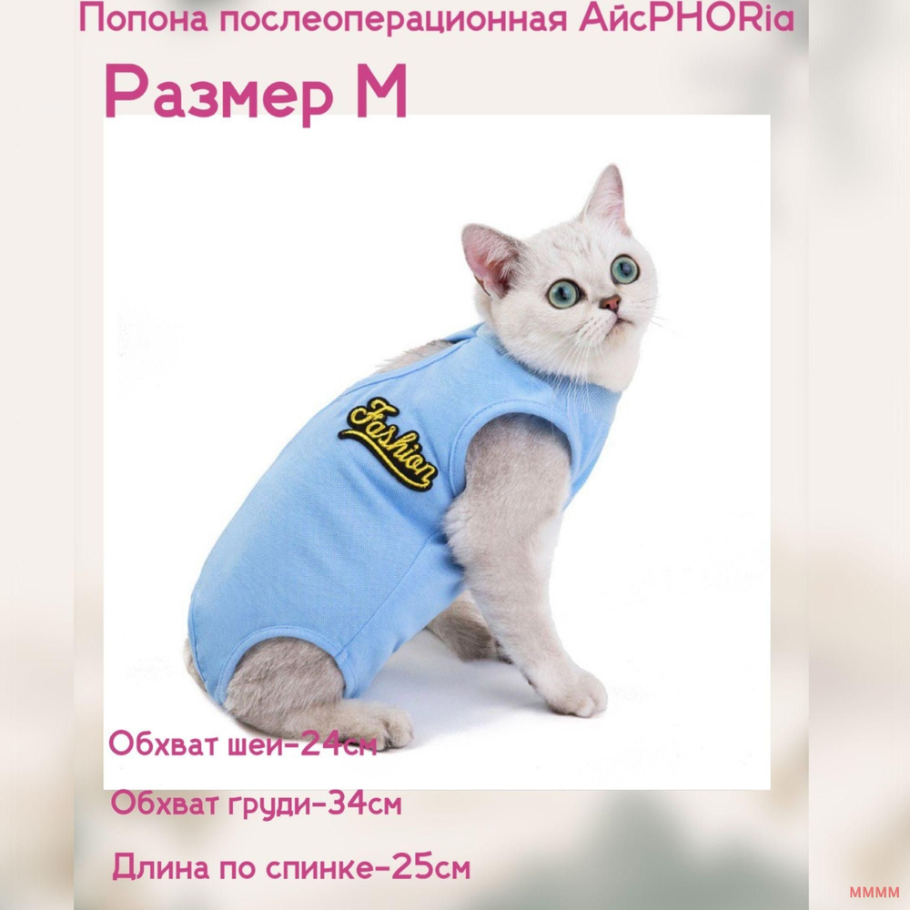 Одежда для животных #1