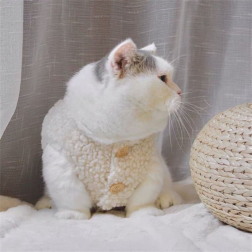 Кошка Одежда #1