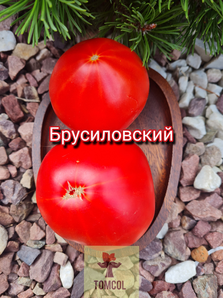 Семена #1