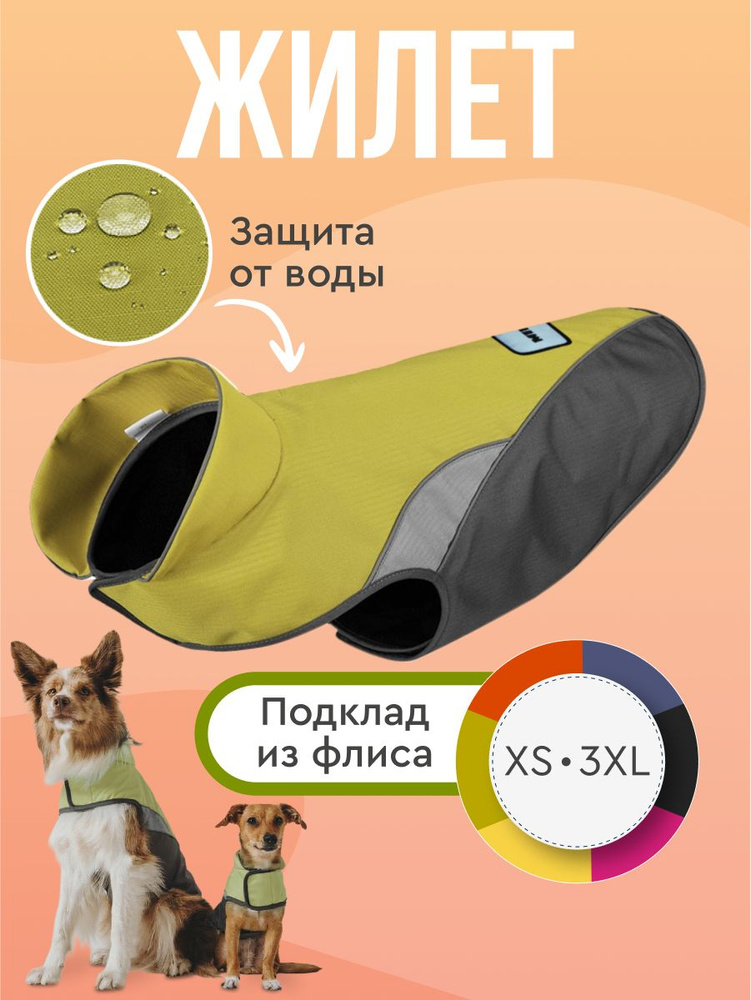 Одежда для животных #1