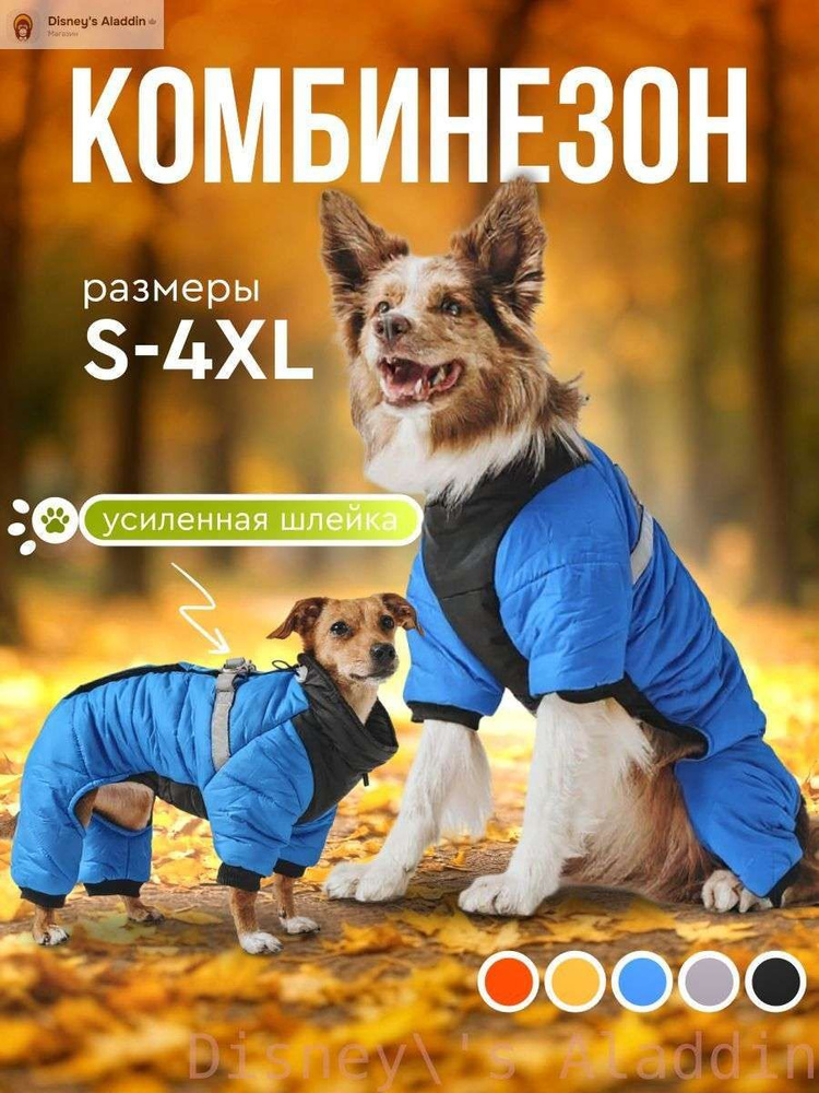 Одежда для животных #1