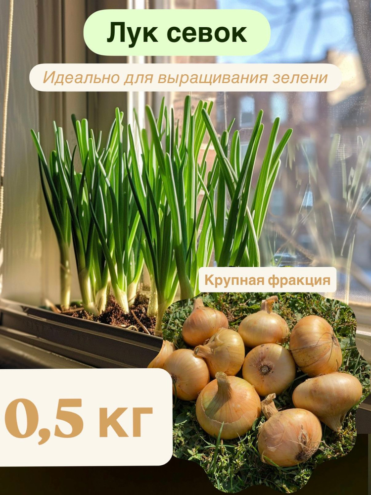Семена #1