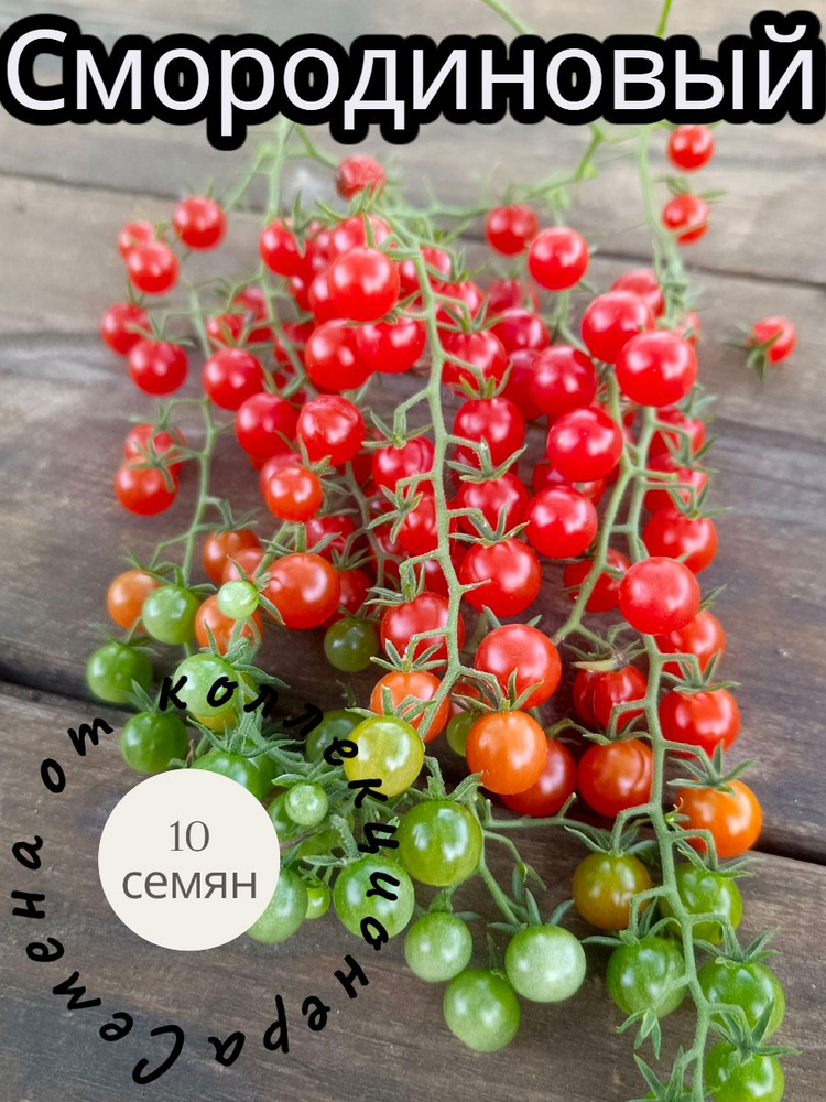 Семена ,10шт #1