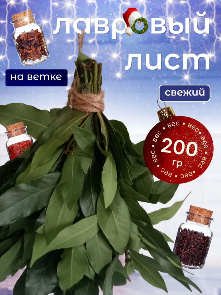 лавровый лист #1