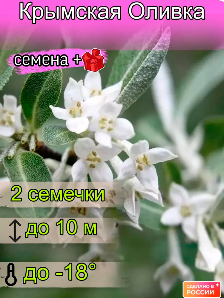Семена ,2шт #1