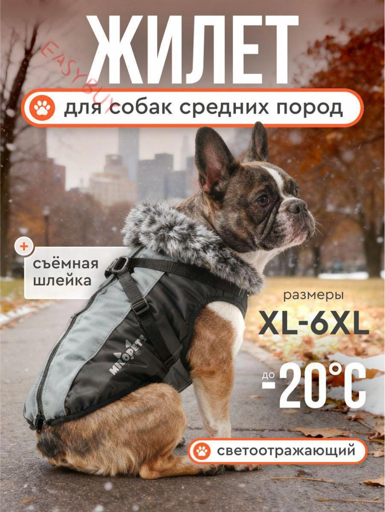 Одежда для животных #1