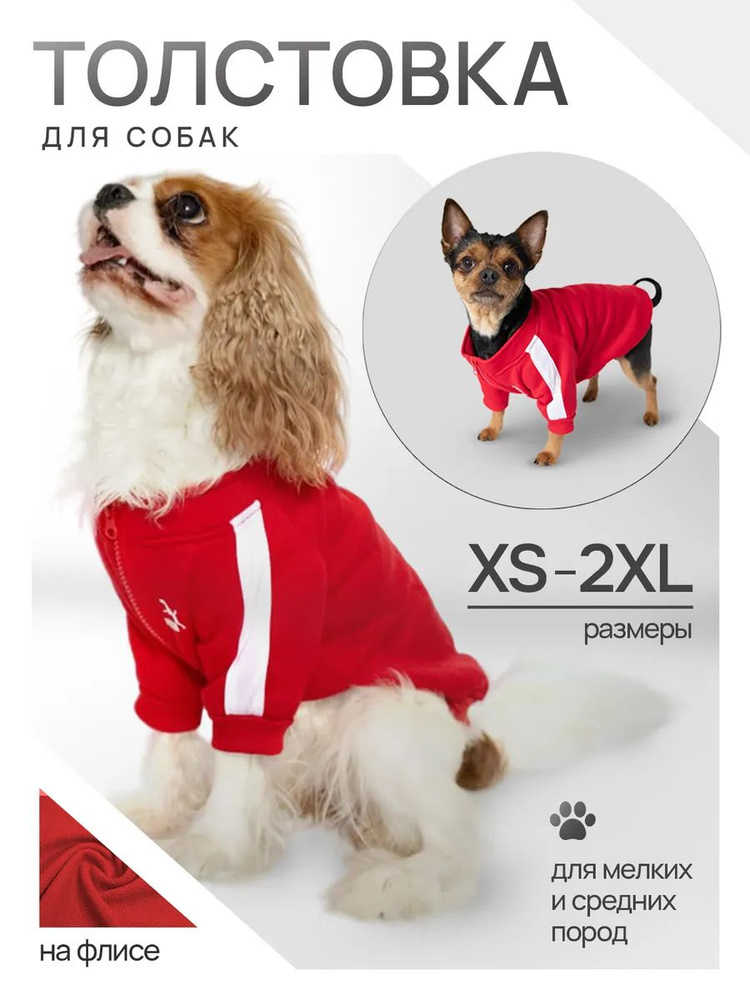 Одежда для животных #1