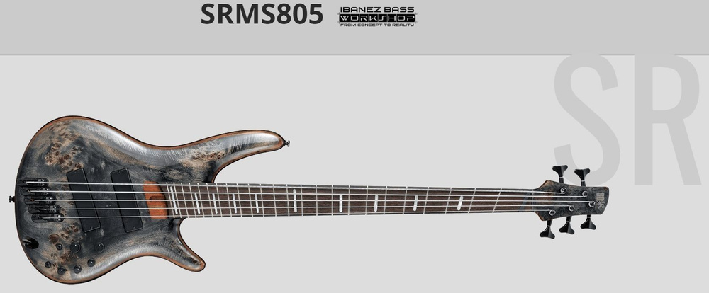 Бас-гитара IBANEZ Guitar #1