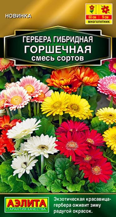 Семена Гербера Горшечная, смесь (10 семян) - Аэлита. Комнатная, многолетняя, крупноцветковая, для дома, #1
