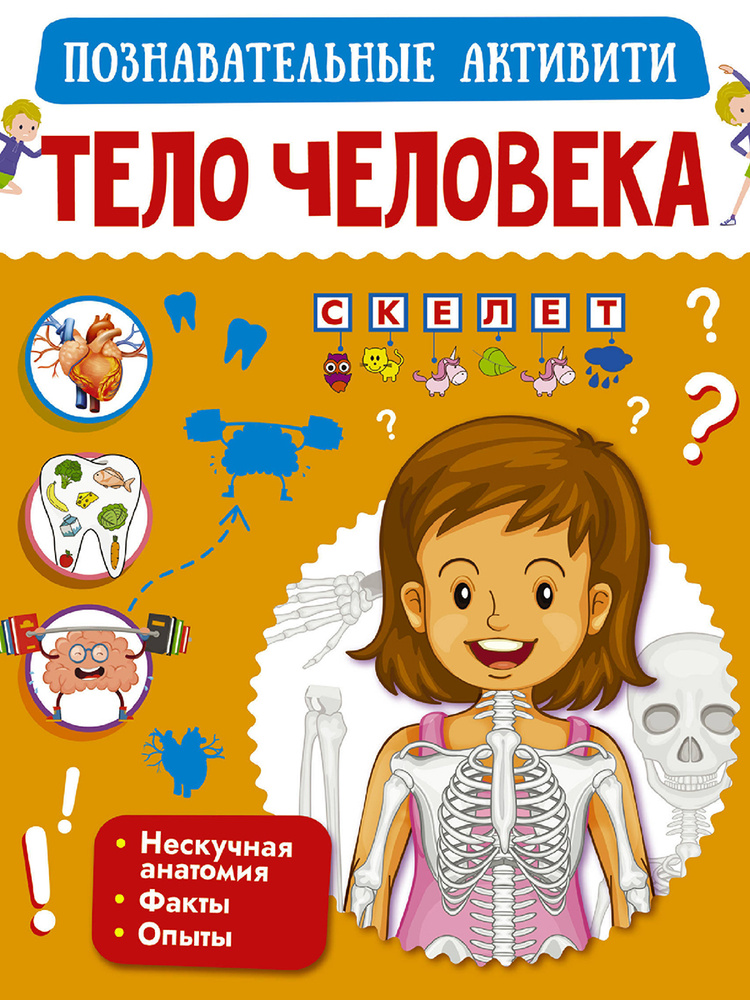 Тело человека #1