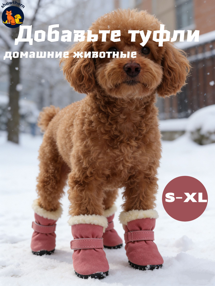 Обувь для животных #1