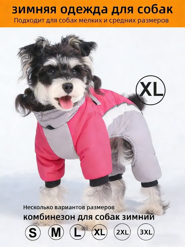 Одежда для животных #1