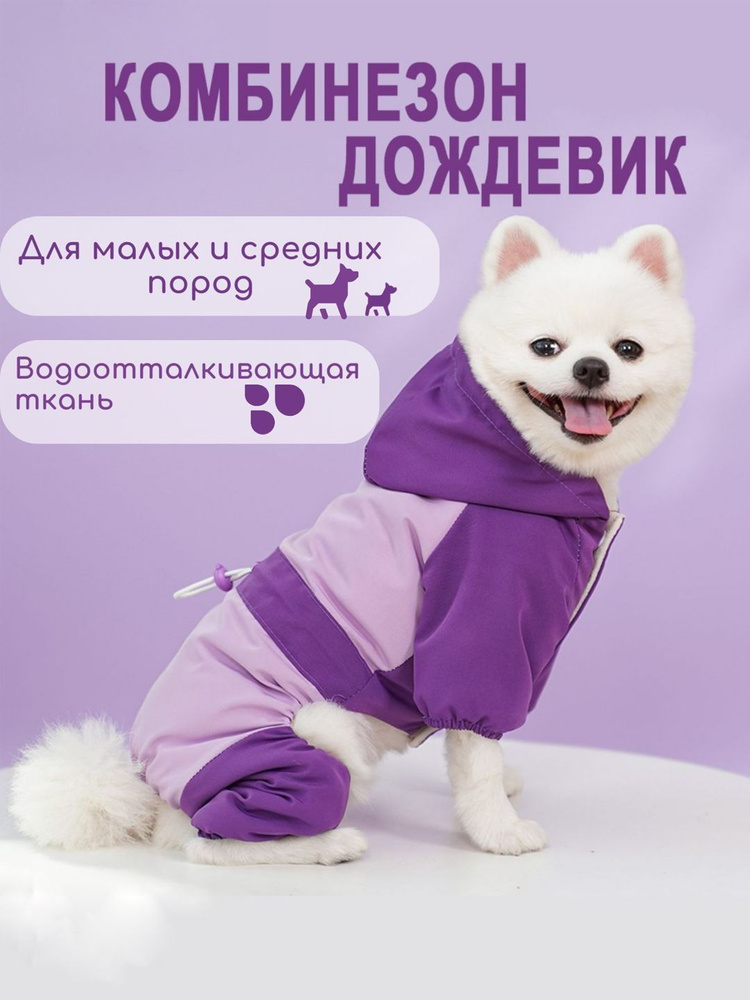 Одежда для животных #1