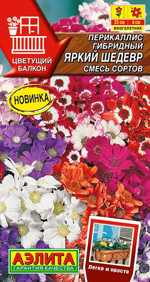 Семена Перикаллис (Цинерария гибридная) Яркий шедевр Смесь (30 семян) - Аэлита. Комнатная ромашка для #1