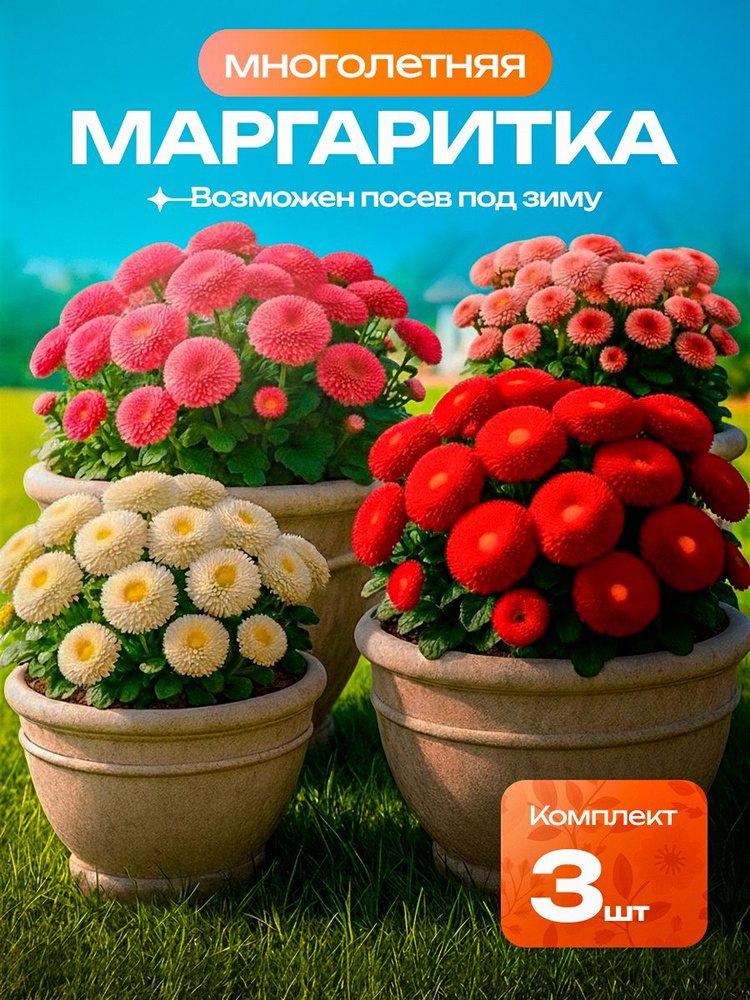 Аэлита Семена #1